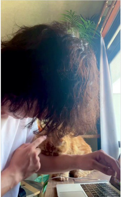 人の腕を噛んでいる猫