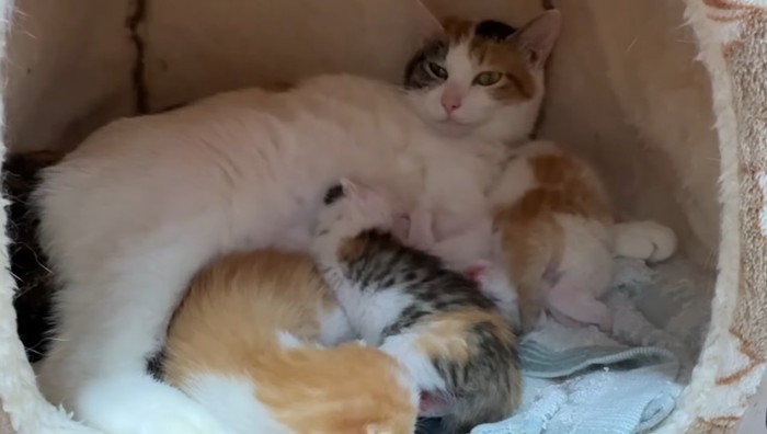 ねんね中