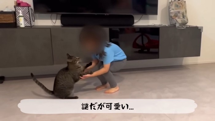 テロップ「謎だが可愛い…」