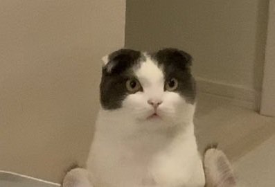 バスルームのミルちゃん