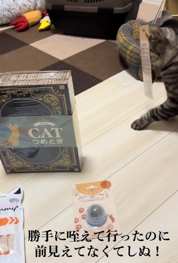 前が見えないファミマルちゃん