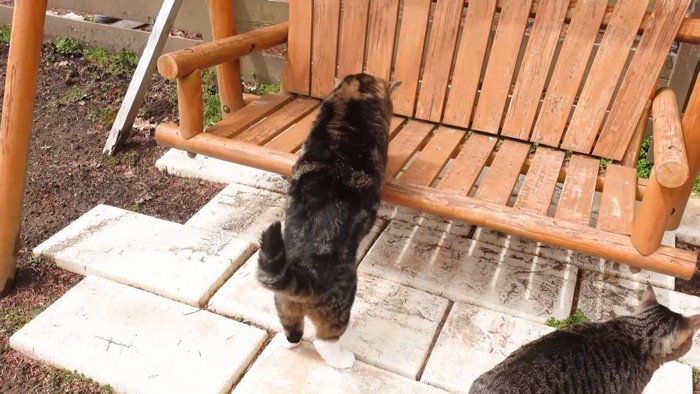 ブランコに乗ろうとするまるくん