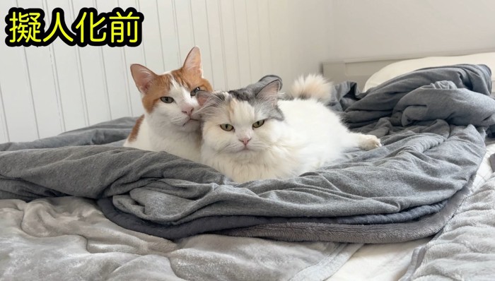 寄り添うつくしちゃんとうに師匠