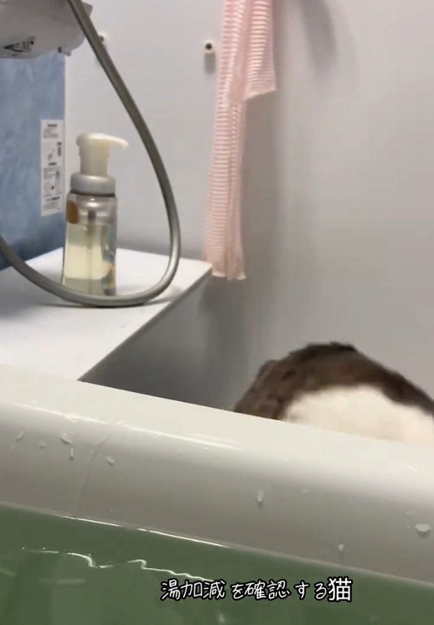 去っていくゆき坊ちゃん