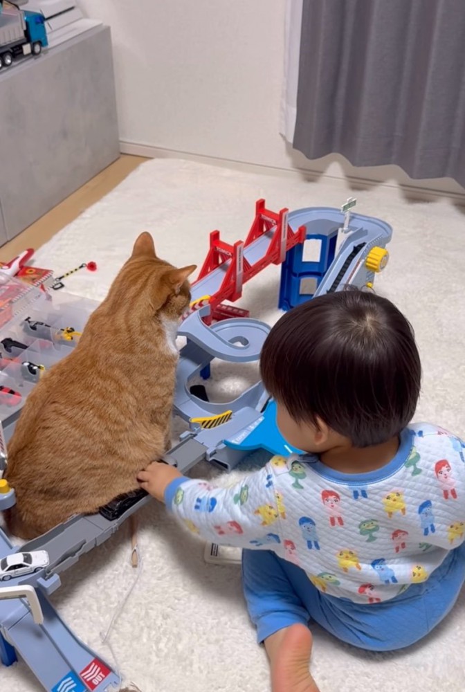 猫のお腹で停車