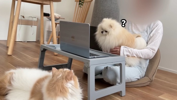 首をかしげるポテチくん