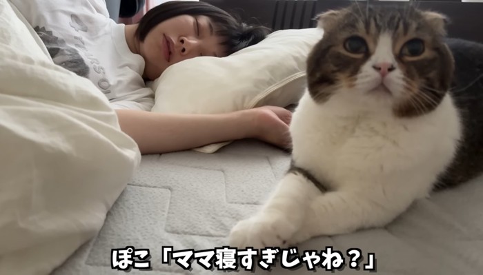 「ママ寝すぎじゃね?」