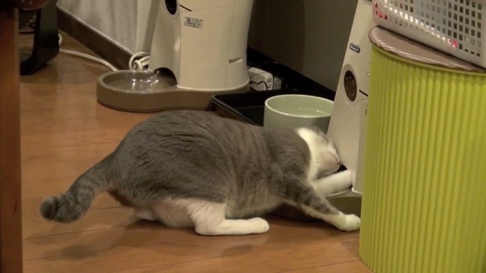 覗き込んで