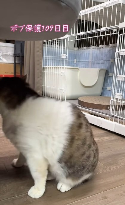 そのまま背を向け…