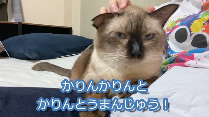 かりんとうまんじゅう