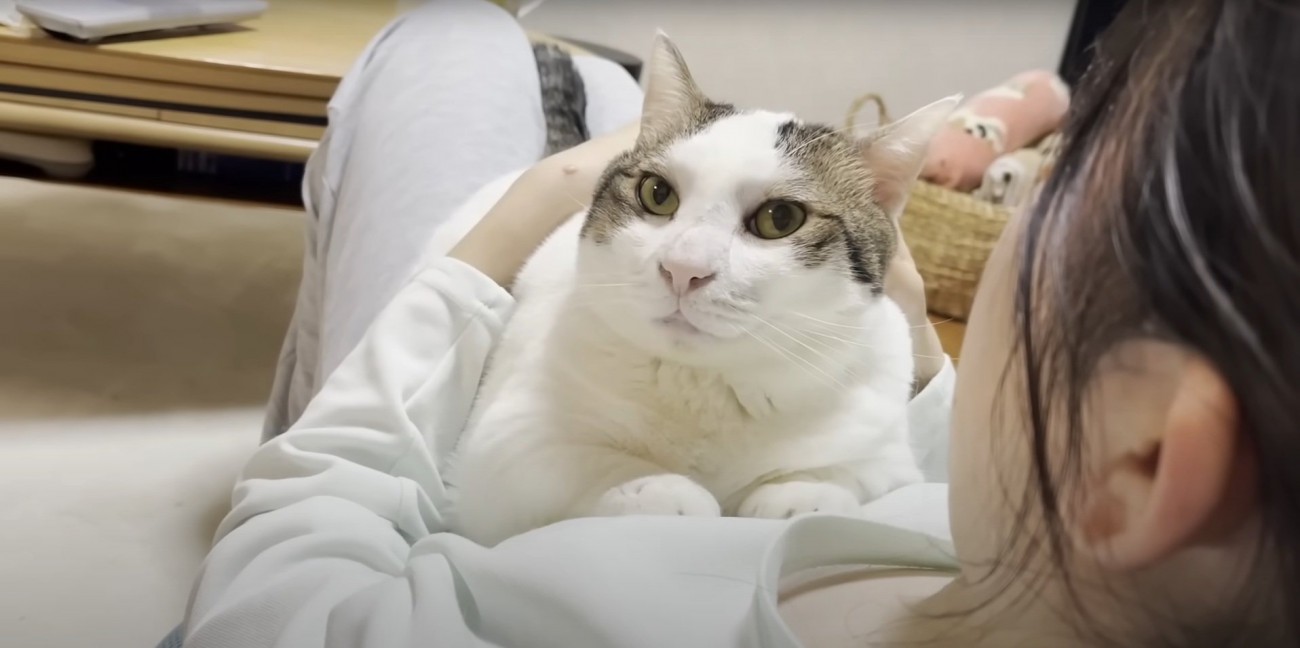 ママさんを見つめる豆大福くん