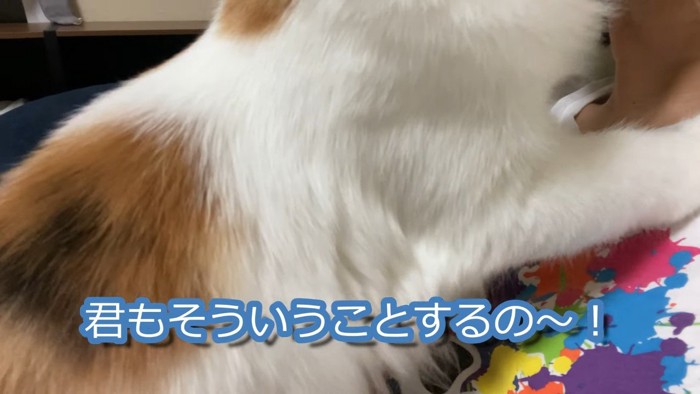 君もそういうことするの〜!