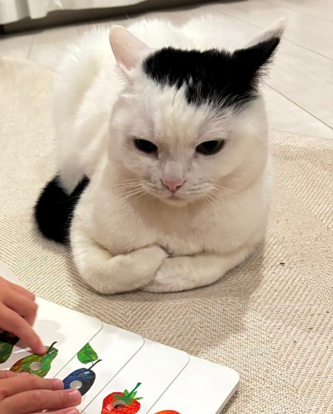 不満そうなたけるくん