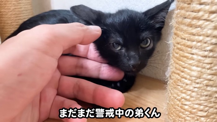 テロップ「まだまだ警戒中の~」