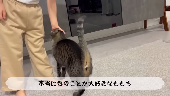 テロップ「本当に娘のことが~」