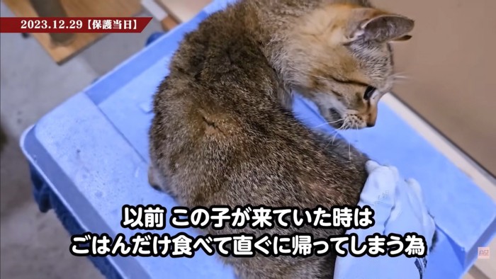 テロップ「以前この子が~」