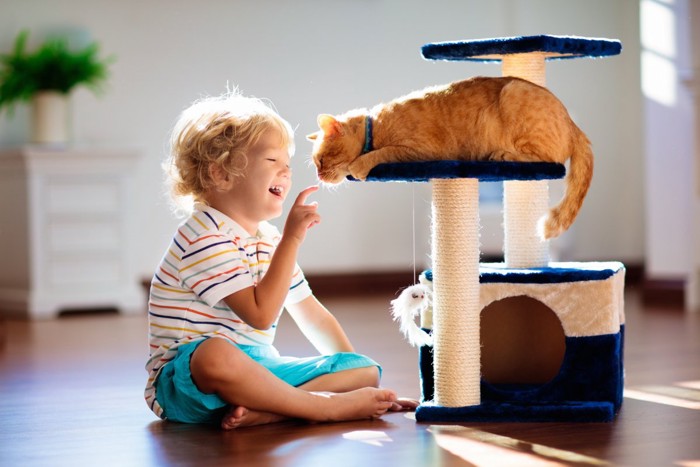 子供と猫