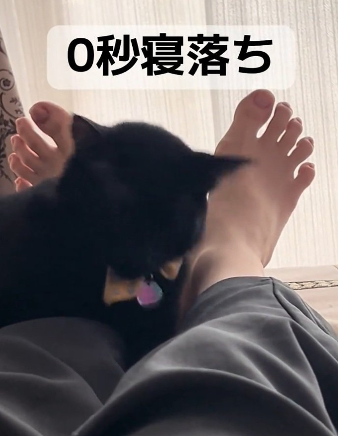 急に倒れ始めるナチくん