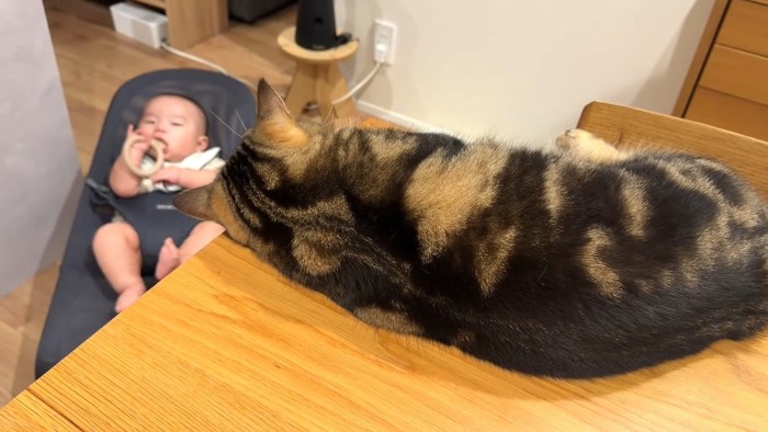 テーブルの上から