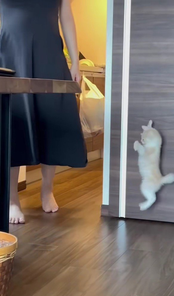 かくれんぼ中のバンビくん