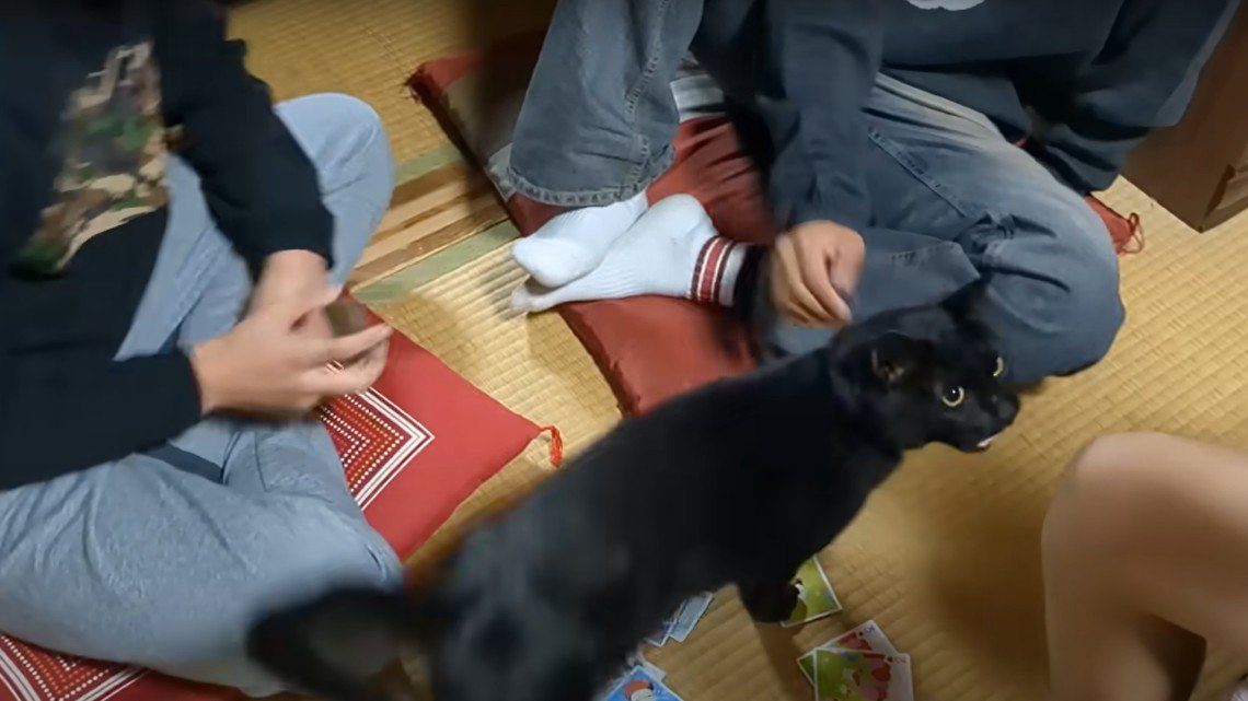 子どもたちの輪の中にいる黒猫