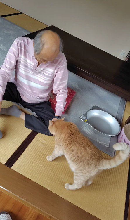 おじいちゃんと猫