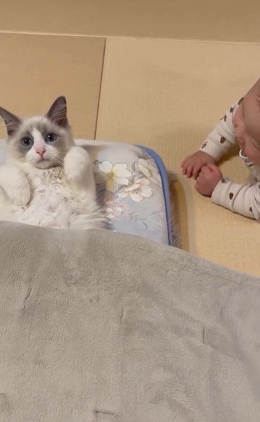 寝そべっている猫と赤ちゃん
