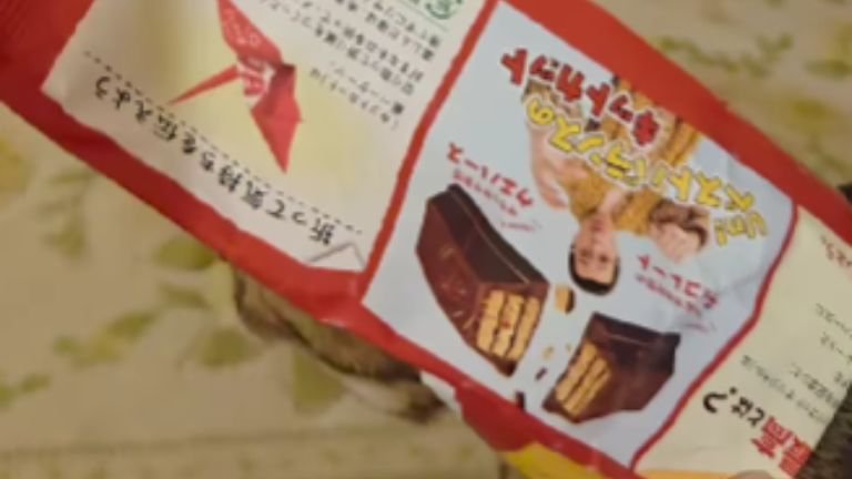 お菓子の袋を被っている猫