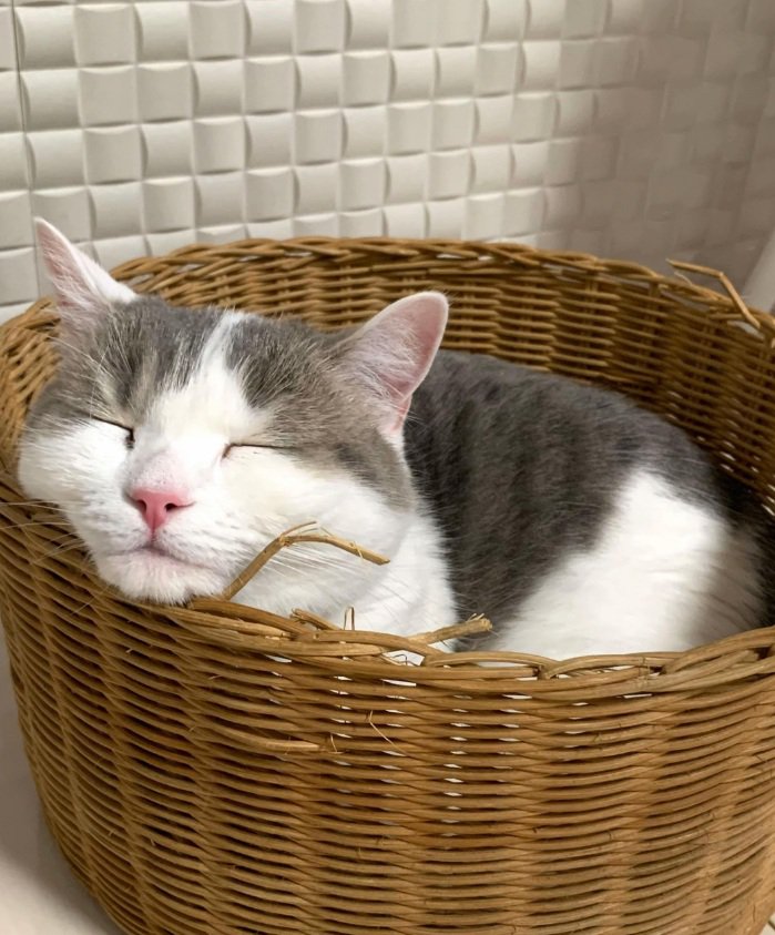 眠るゆき坊ちゃん