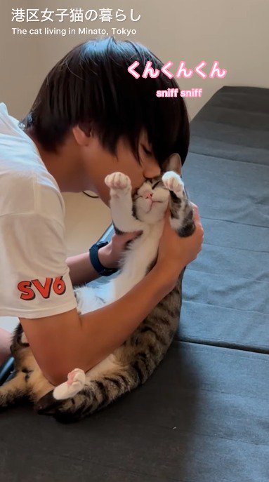 男の子に顔を近づけられて目を細める猫