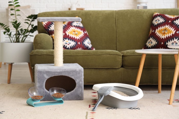 タワー・トイレ・ごはん