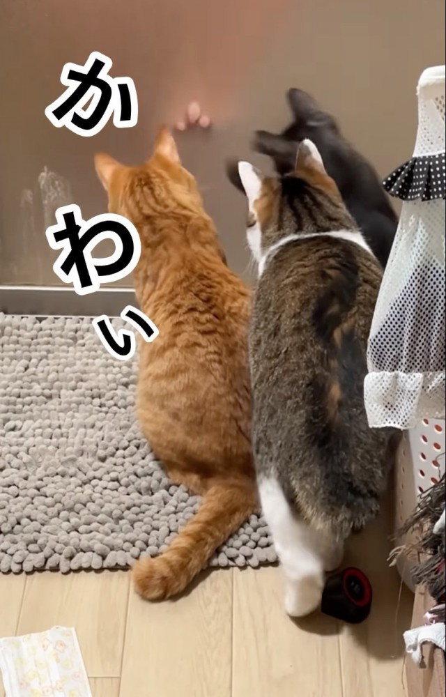 手を追いかける