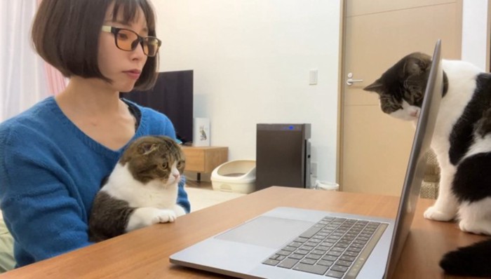 ママさんに抱っこされるぽこ太郎くん