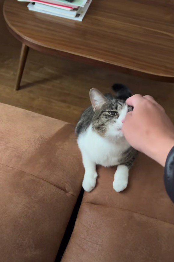 甘えるはなちゃん