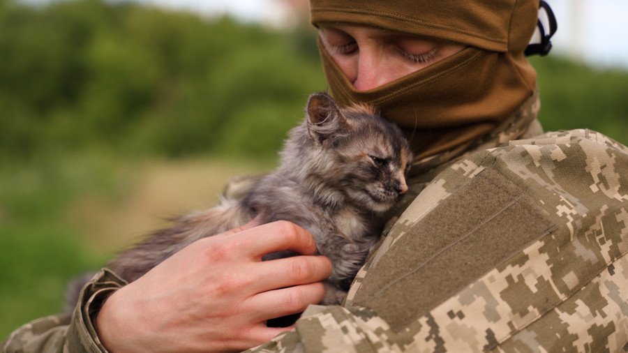 兵士に抱かれる子猫