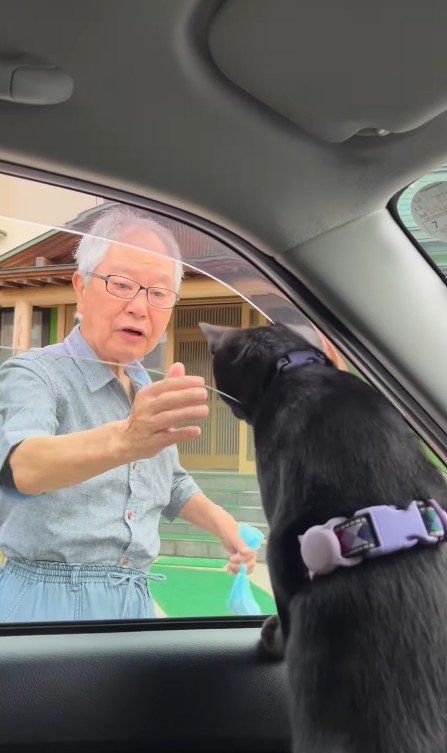 車から身を乗り出す猫と見送るおじいちゃん