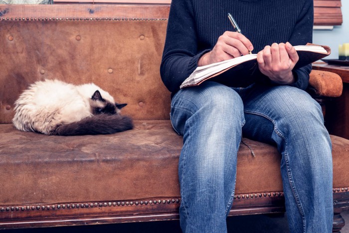 ノートを書く飼い主の隣で寝る猫