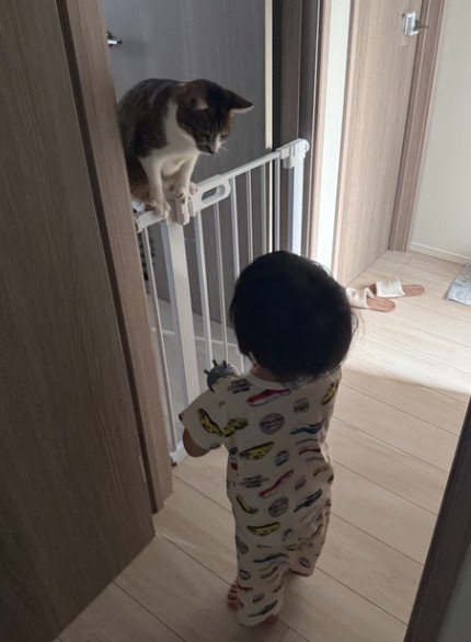 挨拶を交わす猫と子ども