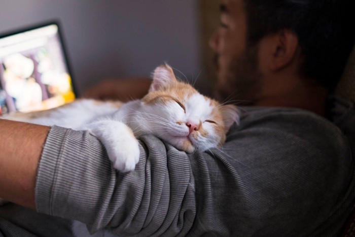 男性に抱っこされる猫