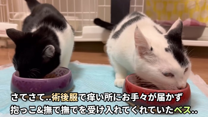 テロップ「さてさて～」