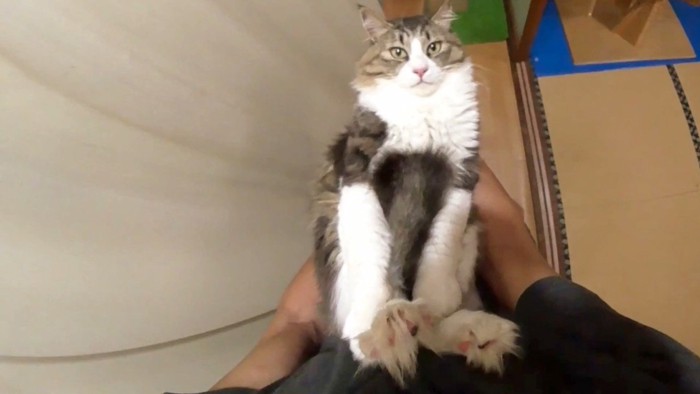 こちらを向いて