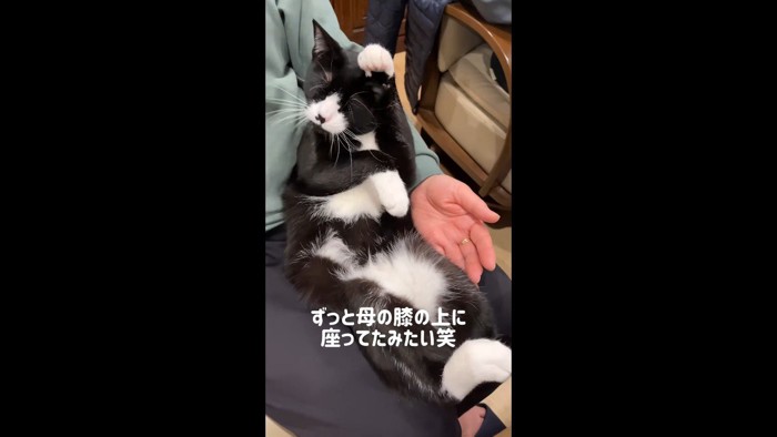 ずっと母の膝の上に