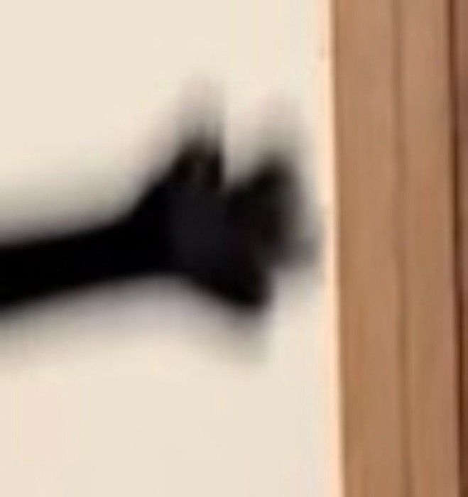 全開に開かれた黒猫の足先