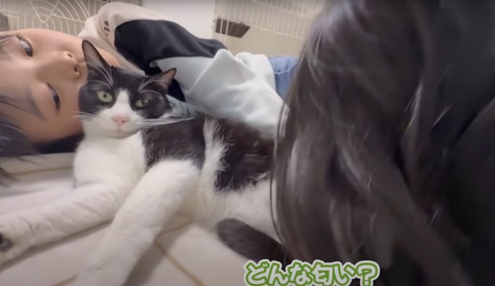 背後と前方から匂いをかがれる猫