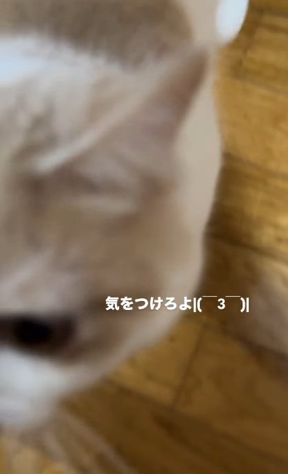 節約に貢献