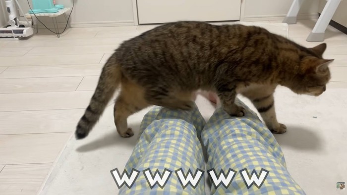 テロップ「ｗｗｗｗｗ」