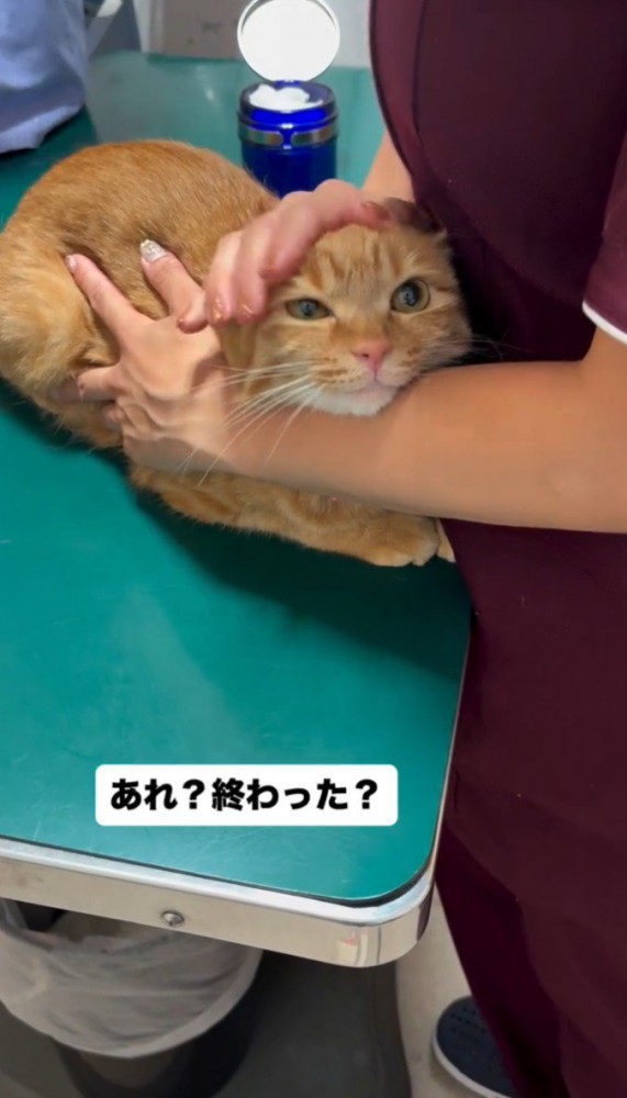 「あれ?終わった?」と書かれた写真