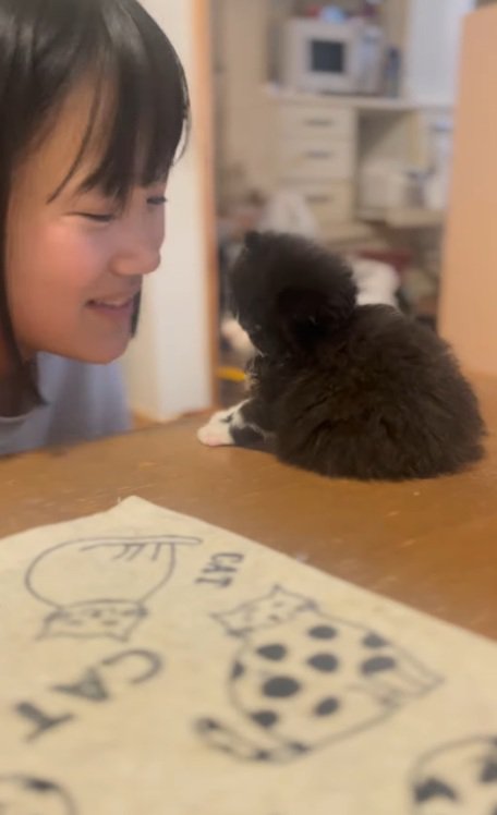 机の上にいる子猫と笑顔の女の子