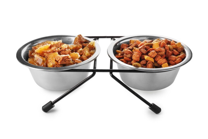 ウェット&ドライフード