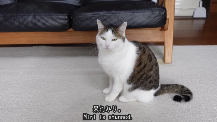 「呆れみり」のテロップ写真